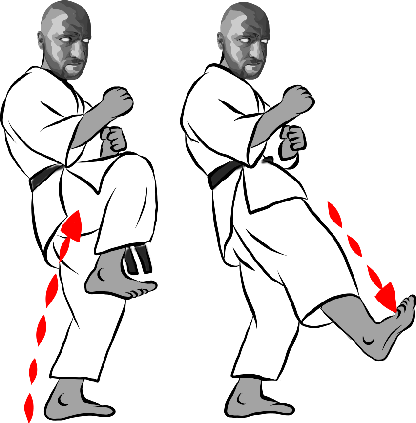 Fumikomi geri (Stamping/thrusting kick)